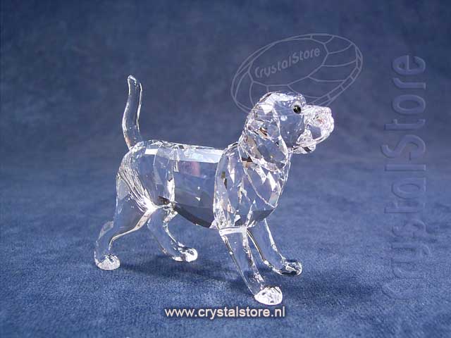 Beagle