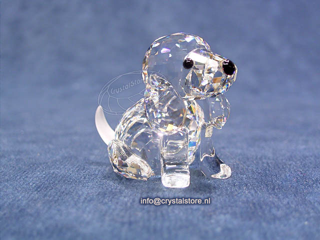 Beagle zittend  