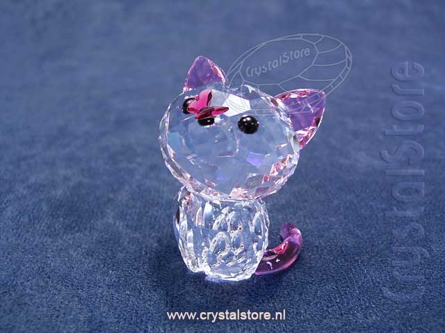 Kitten - Millie the American Shorthair