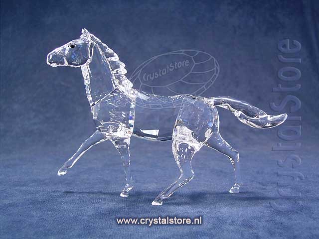 Paard