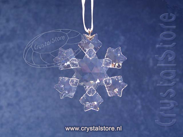 Kleine Ster 2010 