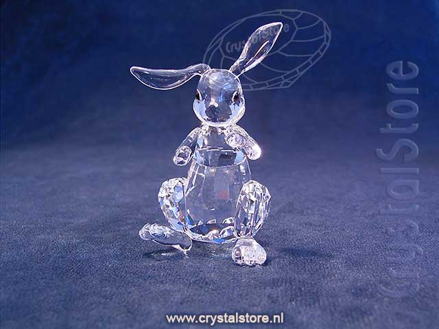 Rabbit 2019 issue Rabbit 2019 issue