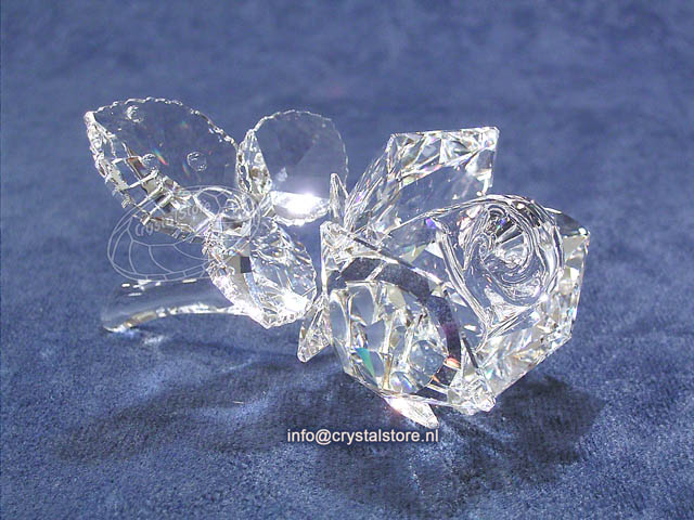Rose Clear