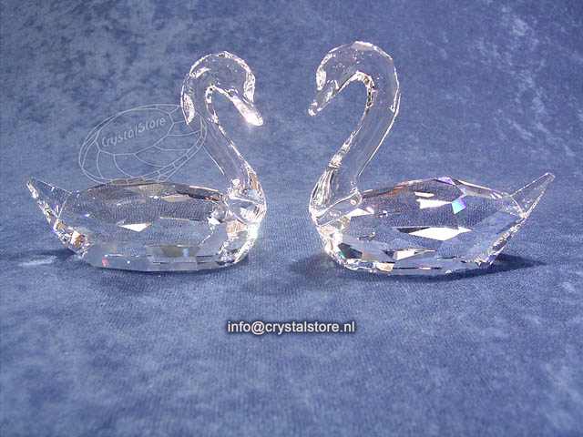 Verliefde Zwanen 