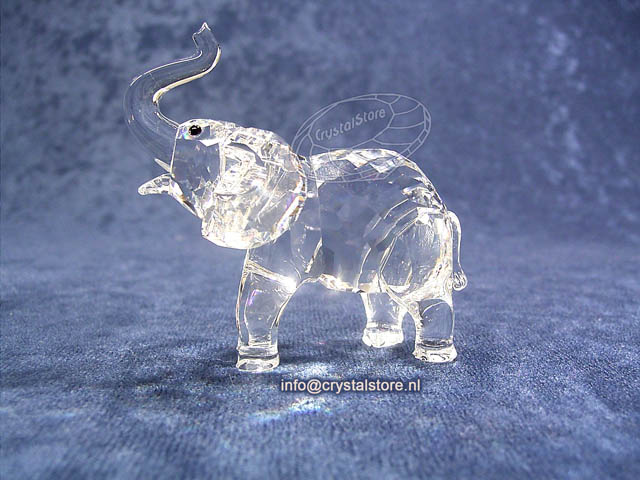 Olifant baby 