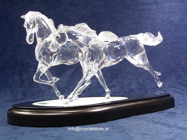 Wilde paarden