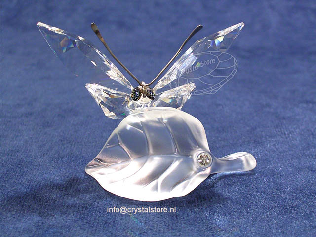 Butterfly on Leaf - 1994