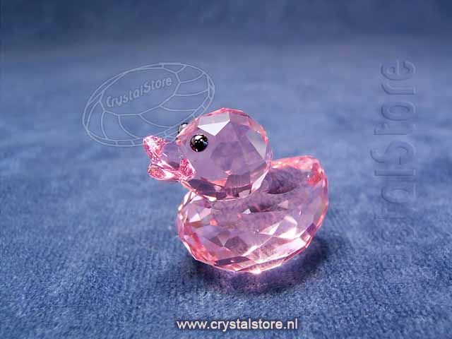 Duck Rosy Ruby