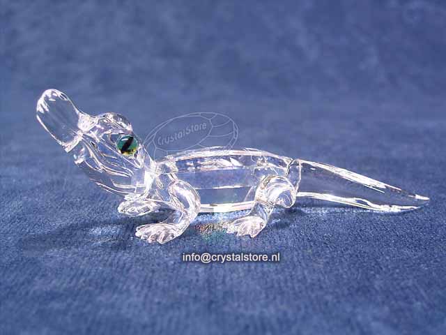 Alligator 