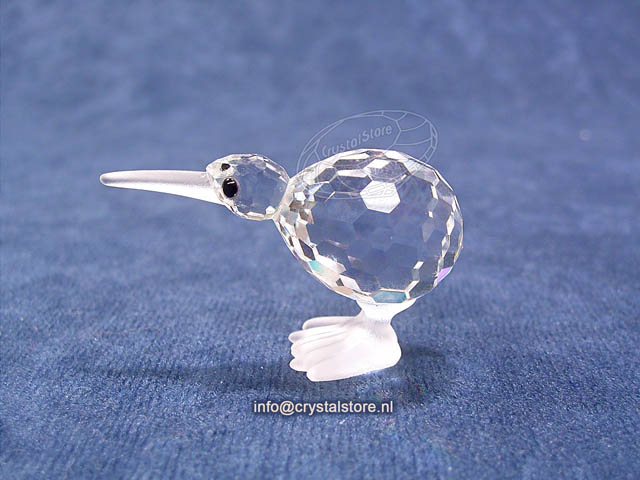Kiwi Bird