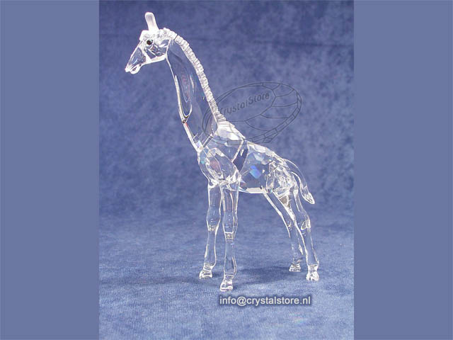 Giraffebaby
