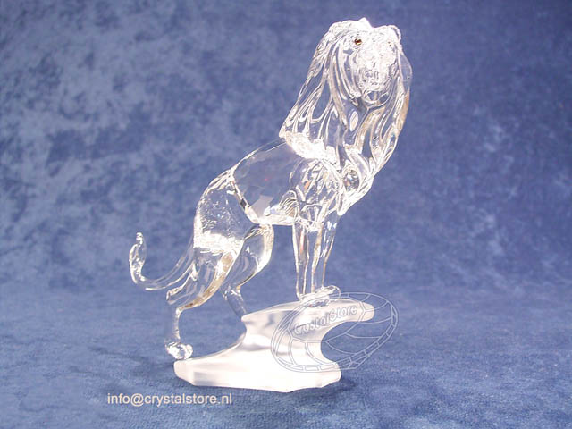 Lion on a rock