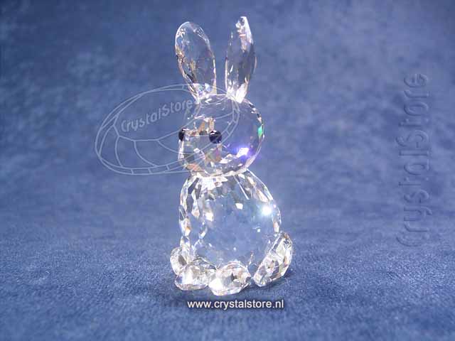 Rabbit Mother