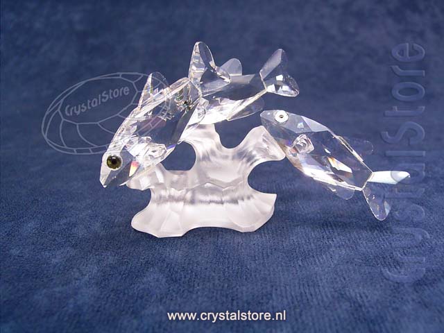 Three South Sea Fish